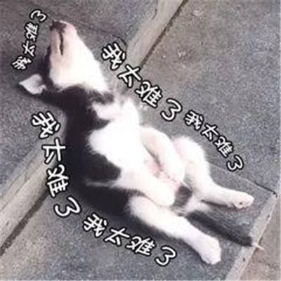 电信星卡19元/月 200G流量够不？购