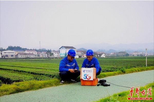 5G守护绿水青山 中国电信助力茶叶之乡打造智慧茶旅小镇