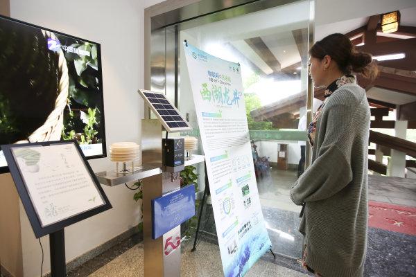 当茶产业遇上物联网！扫扫二维码 溯源西湖龙井茶