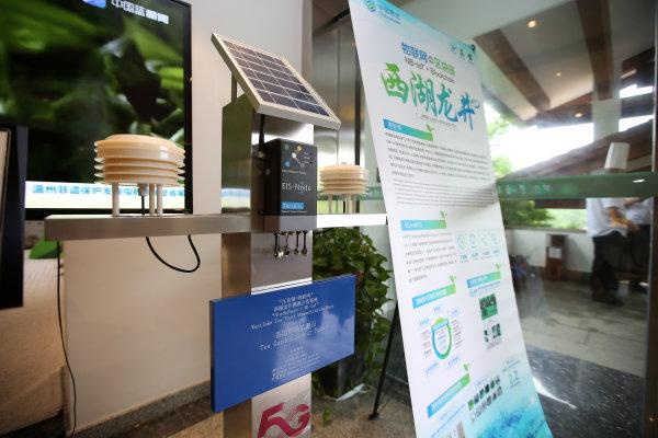 当茶产业遇上物联网！扫扫二维码 溯源西湖龙井茶