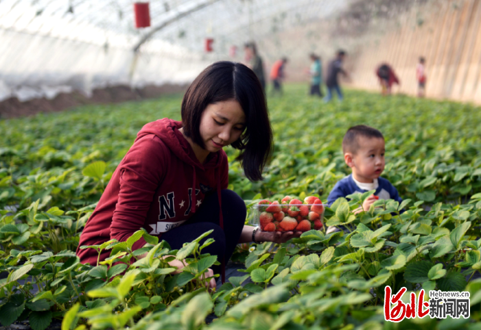 冰雪入夢邀你打卡！河北推出33條休閑農(nóng)業(yè)旅游精品線路