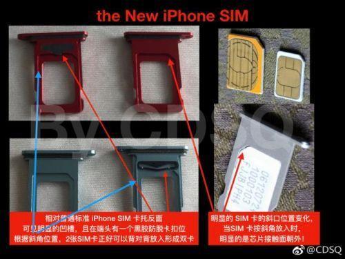 揭秘：缘何新iPhone只有中国特供版是双实体SIM卡？天猫首发